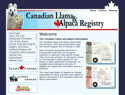 Calgary Web Design